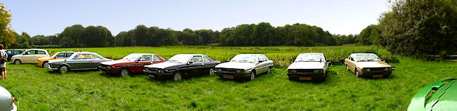 Gamma's op de Horsten